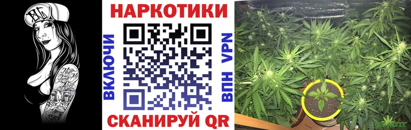 Сколько стоит Нововоронеж Альфа ПВП Кокаин Codein Гашиш Меф мяу мяу БУТИРАТ