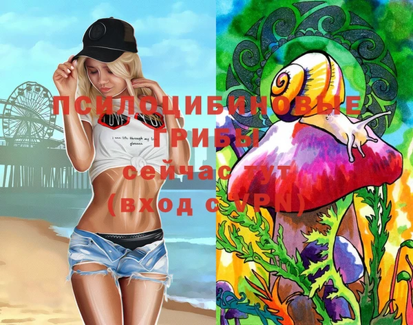 дмт Армянск