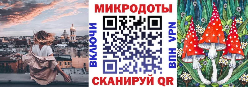 Псилоцибиновые грибы GOLDEN TEACHER hydra как зайти Нововоронеж продажа наркотиков